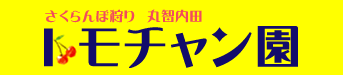 さくらんぼ狩り,山梨,甲州市塩山 丸智内田トモチャン園へ