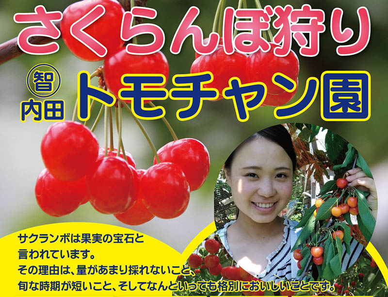 さくらんぼ狩り2019年タイトル